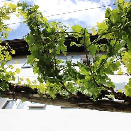 Villa Weingut Pardellerhof Marlengo Exterior foto